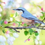 In forma per la primavera, piuttosto che la stanchezza primaverile