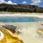 Perché sono così importanti i sali minerali e oligoelementi?