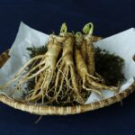 La radice miracolosa: il Ginseng